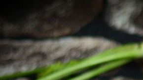 carrots-2387394_1280