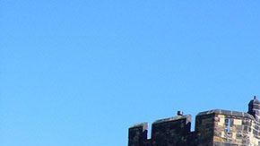 Ahora sí, literalmente, podrás darte una vida de rey gracias a tu apellido. Imagen sólo con fines ilustrativos.