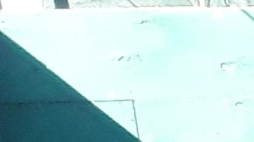 Catalina usuaria tren L