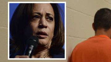 Harris envió una carta a ICE exigiendo respuestas.