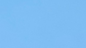 César Vargas de origen mexicano, además es abogado y une a la red para proveer asesoría a los veteranos inmigrantes.