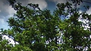 Addabbo Family Health Center, Far Rockaway