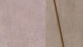 Conductoras de Un Nuevo Día.