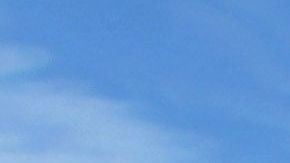 Warren alojó a dos inmigrantes en un albergue de la organización No más muertes.