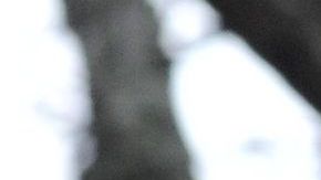 Deval Patrick anunció que se postula a se postula a la carrera presidencial demócrata.