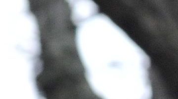 Deval Patrick anunció que se postula a se postula a la carrera presidencial demócrata.