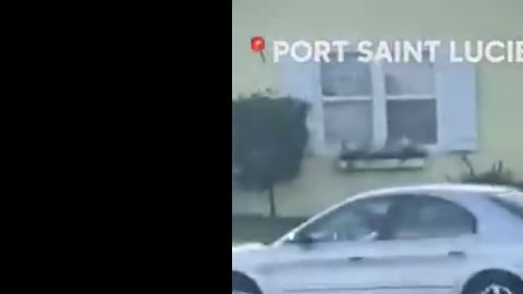 El perro conduciendo el coche en reversa y en círculos estropeó un buzón.