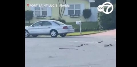 El perro conduciendo el coche en reversa y en círculos estropeó un buzón.