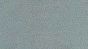 Trump y su hijo Donald Jr