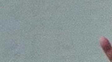 Trump y su hijo Donald Jr