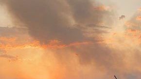 No está claro si las medidas reglamentarias hubieran salvado vidas.