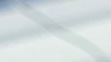 Los bomberos también hallaron a las dueñas de esta reliquia familiar.