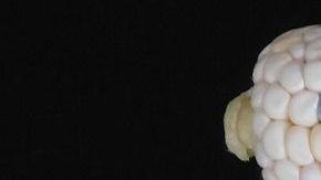 Elote-shernandezg-pixabay