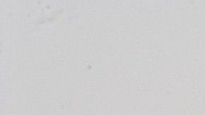 Revisa las conexiones de tus aparatos y evita accidentes.