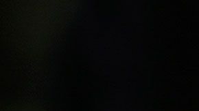 Un simple error provocó que la empresa aplicara una doble promoción que la hizo perder millones de dólares.