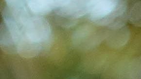 El ganador de Exatlón 2019