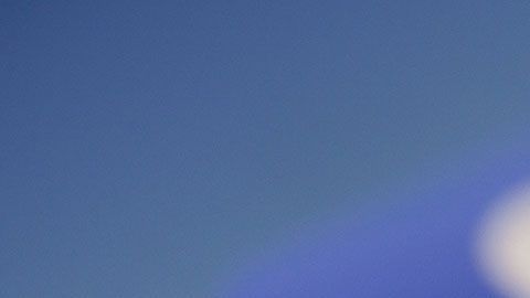 La empresa está haciendo grandes esfuerzos por evitar la propagación de noticias falsas.