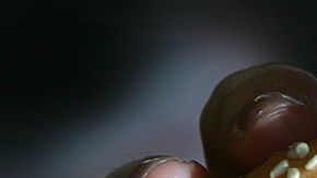 LONDON - JULY 12: In this photo illustration a lady eats a beefburger on July 12, 2007 in London, England. Government advisors are considering plans for a fat tax on foods high in fat to try to help tackle the fight against obesity. (Photo illustration by Cate Gillon/Getty Images)