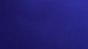 La gente se encontraba rezando debajo de un árbol.