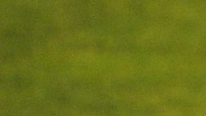 Javier Aguirre rechazó una propuesta para dirigir a Chivas.