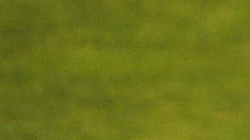 Javier Aguirre rechazó una propuesta para dirigir a Chivas.