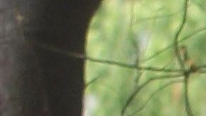 AMLO afirma que se "terminó" la guerra contra el narco.