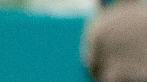 Ignacio Jeraldino podría ser uno de los refuerzos de América para el Clausura 2020.