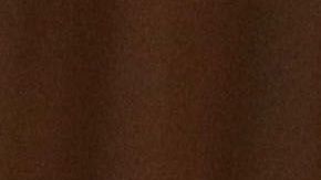 AOC se presenta a su reelección en 2020.