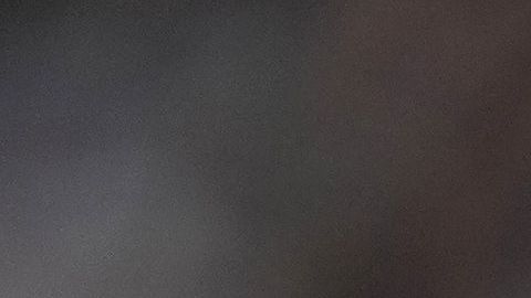 Javier "Chicharito" Hernández.