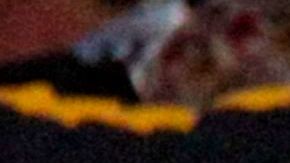 Hinchas del Rosario Central.