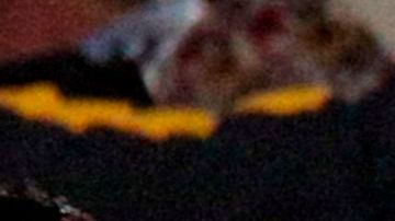 Hinchas del Rosario Central.