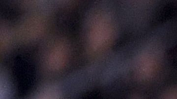 El mexicano sumó un reconocimiento más en la liga estadounidense.