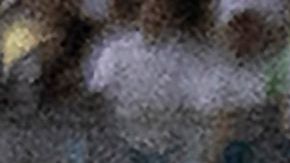 Antuna fue uno de los mejores jugadores de todo el torneo de CONCACAF.