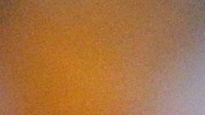 El jugador sería el primer fichaje del directivo al frente del 'rebaño'.