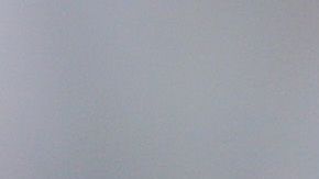 El exjugador de los Pats se volvió loco en sus redes sociales.