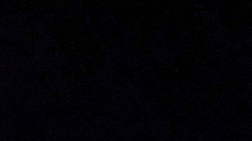 Doce candidatos demócratas participaron en el debate en Ohio.