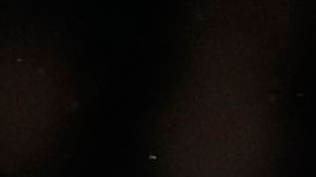 El jugador sufrió una lesión el sábado pasado con el Chelsea.