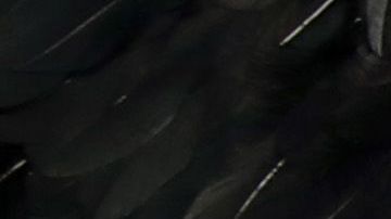 Angelina Jolie y sus hijos.