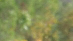 Un altar en Central Park en recordación a las víctimas del tiroteo reportado este jueves en la secundaria Saugus.