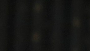 Jennifer Williams, asesora del vicepresidente Mike Pence, y el teniente coronel Alexander Vindman.