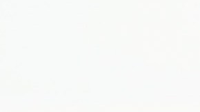 El presidente Trump escribió parte de una conversación telefónica.