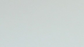 El presidente Trump y la primera dama Melania se mantuvieron lejos de Conan.