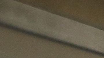 La Patrulla Fronteriza suele realizar operativos en trenes.