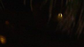 Bárbara Bermudo y Mario Andres Moreno.