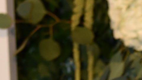 Ludwika Paleta.