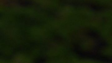 Gareth Bale no esperó a que terminara el encuentro contra el Galatasaray para irse del estadio.