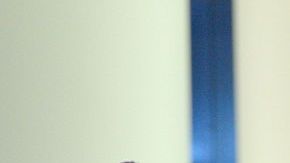 Ashley ha triunfado en la industria como modelo de tallas grandes.