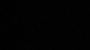 El presidente Trump.