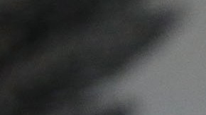 El congresista Peter King  ha apoyado la agenda del presidente Donald Trump.