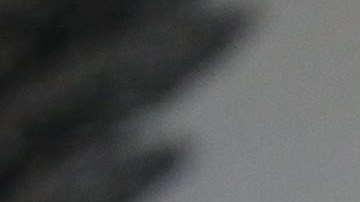 El congresista Peter King  ha apoyado la agenda del presidente Donald Trump.